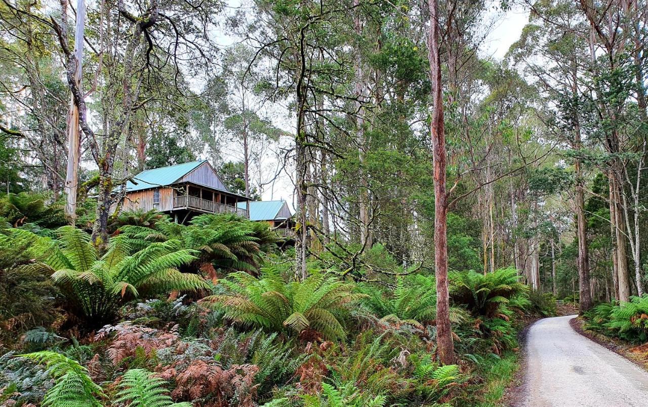 Hotel Lemonthyme Wilderness Retreat Moina Exterior foto