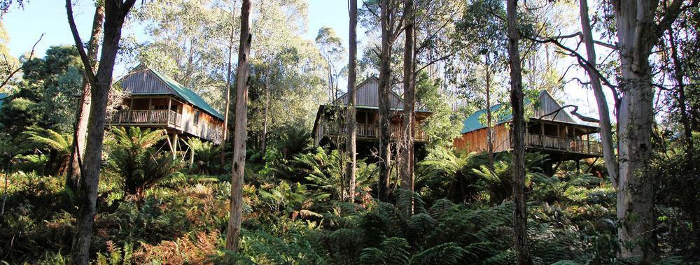 Hotel Lemonthyme Wilderness Retreat Moina Exterior foto