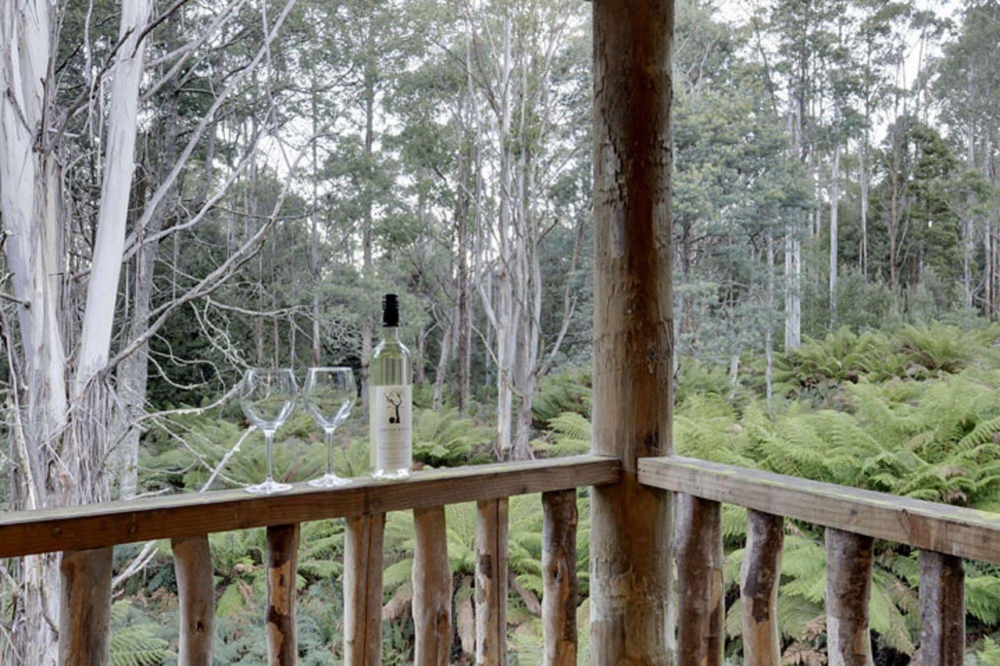 Hotel Lemonthyme Wilderness Retreat Moina Exterior foto