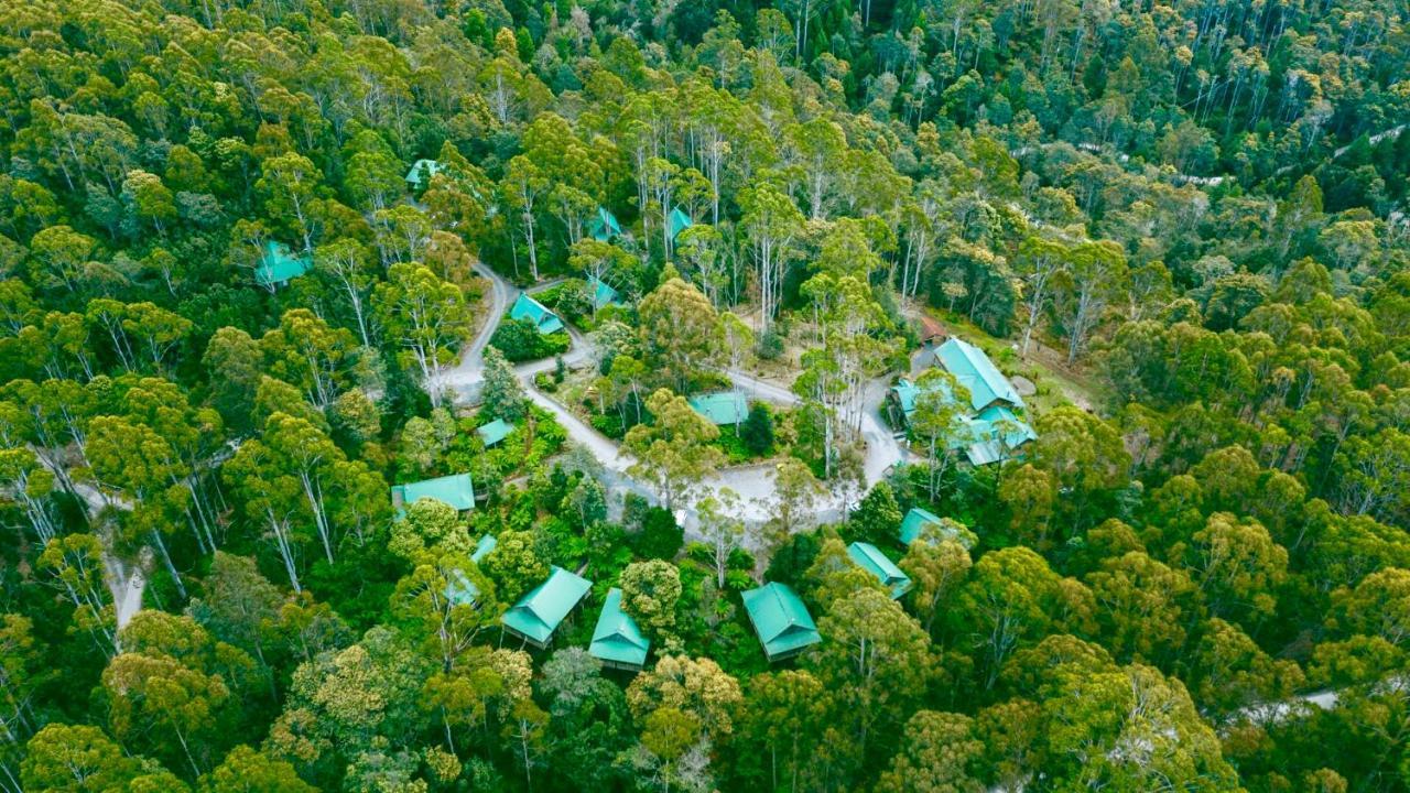 Hotel Lemonthyme Wilderness Retreat Moina Exterior foto